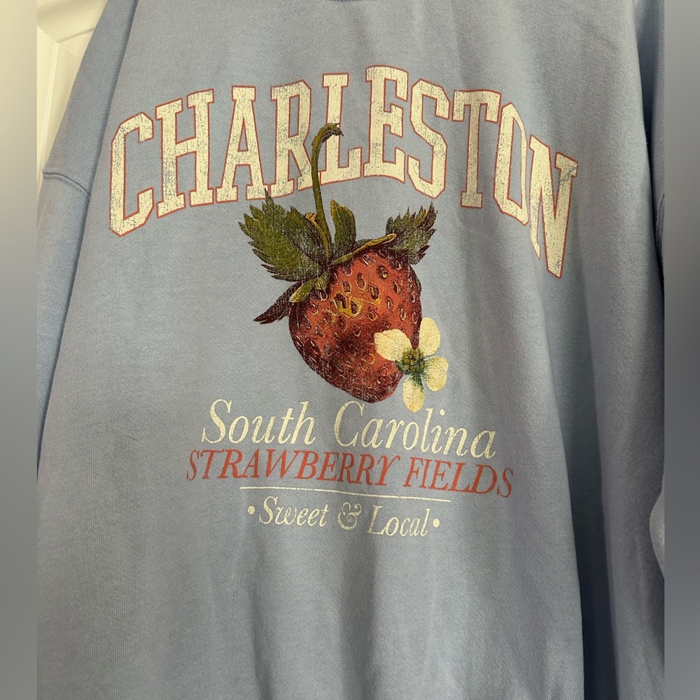 Altar'd State Light Blue Charleston Strawberry Crewneck Sweatshirt - Picture 3 of 7